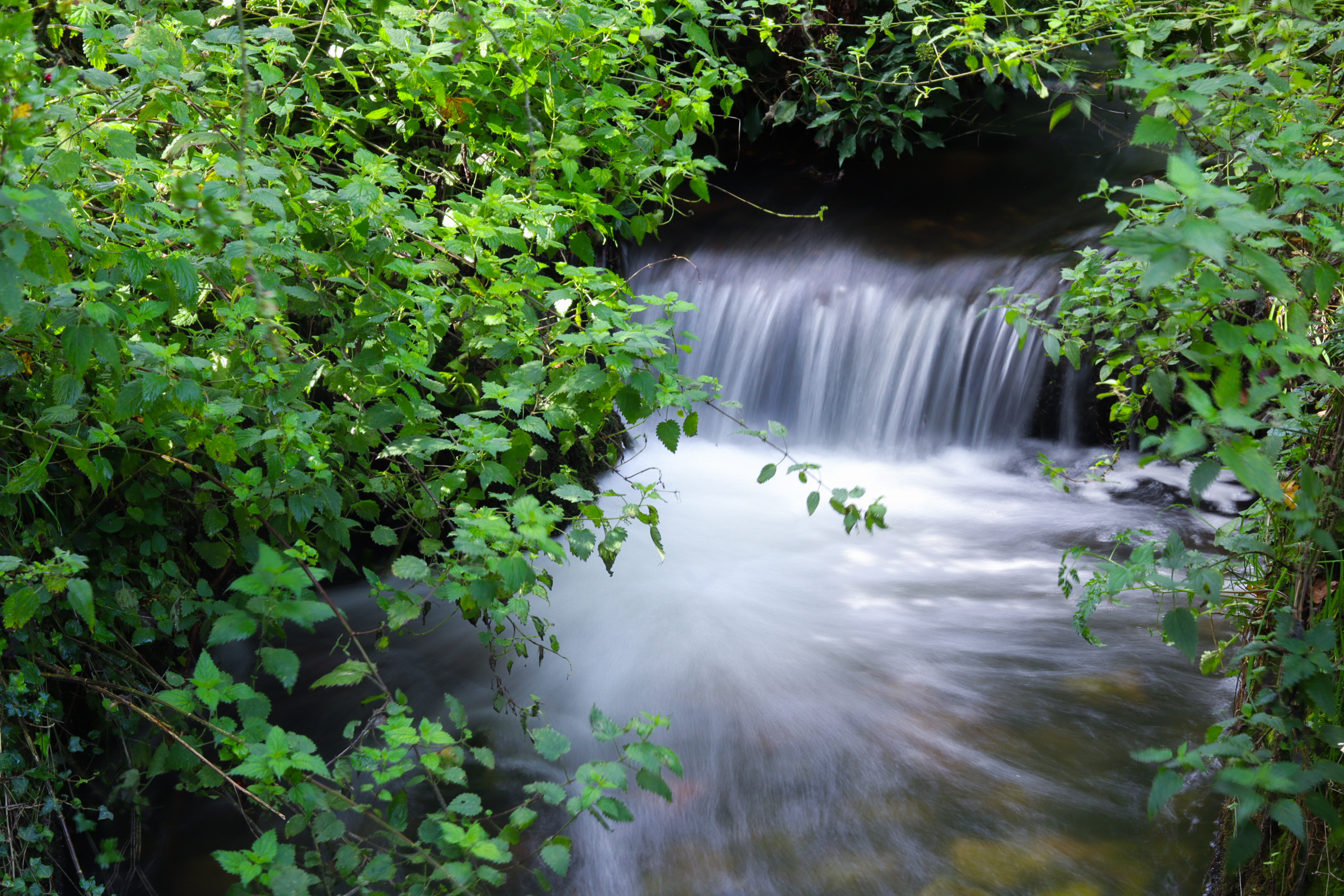 One of Images included in image slider